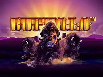 Buffalo by Aristocrat